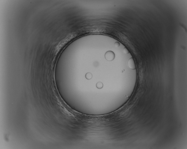 X0000102020721200807180942