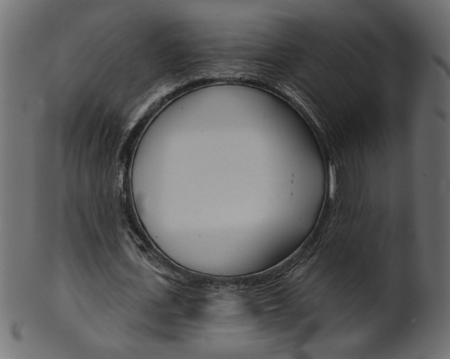 X0000102020723200807180942
