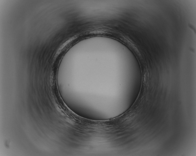 X0000102020724200807180942