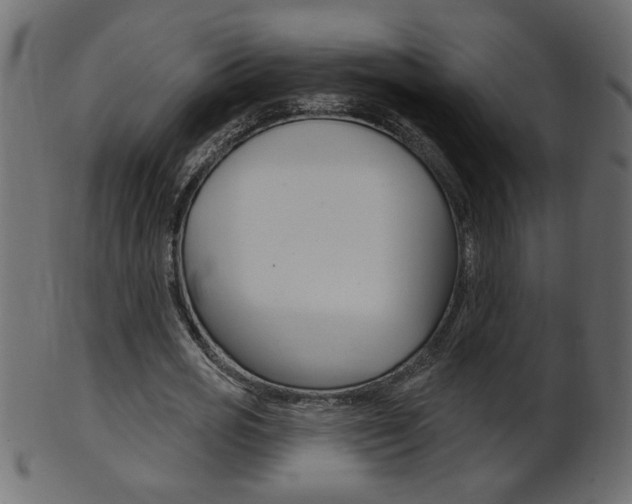 X0000102020725200807180942