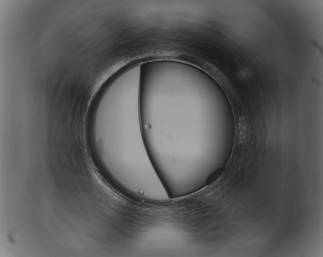 X0000102020726200807180942