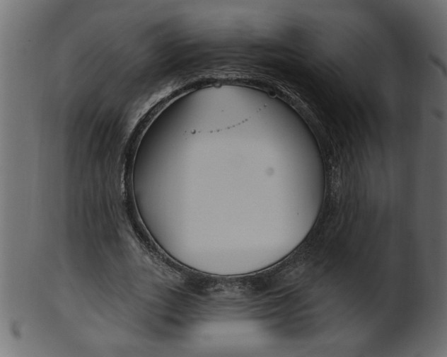 X0000102020727200807180942