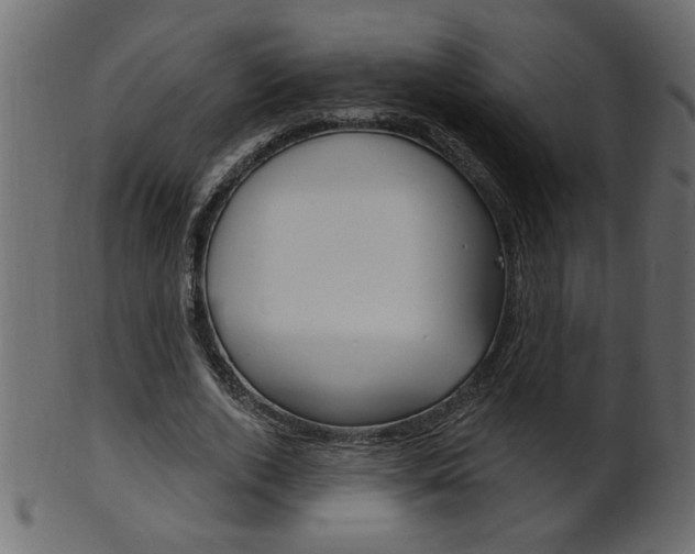 X0000102020728200807180942