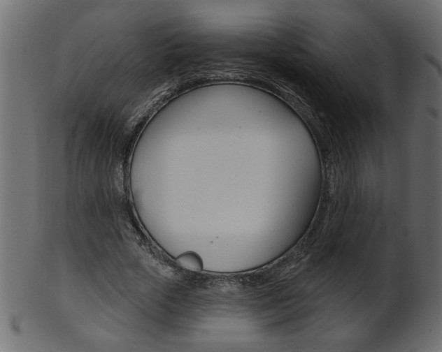 X0000102020729200807180942