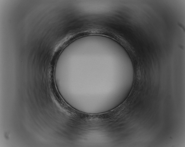 X0000102020730200807180942