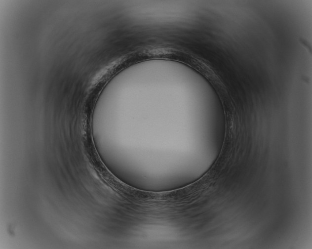 X0000102020732200807180942