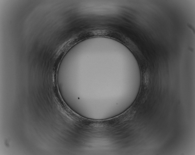 X0000102020733200807180942