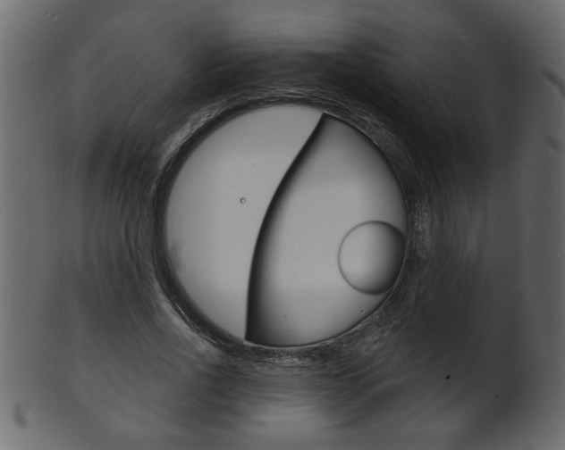X0000102020734200807180942