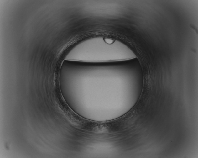 X0000102020735200807180942