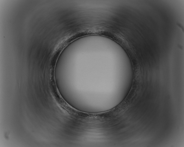 X0000102020736200807180942