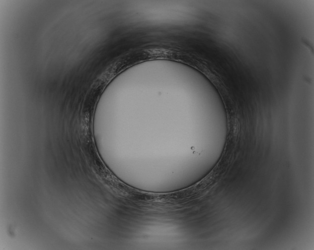 X0000102020737200807180942