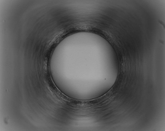 X0000102020739200807180942