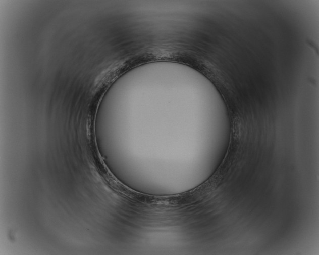 X0000102020740200807180942