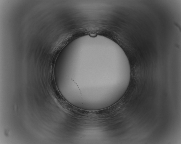 X0000102020742200807180942