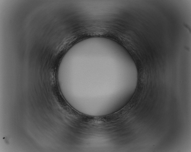X0000102020743200807180942