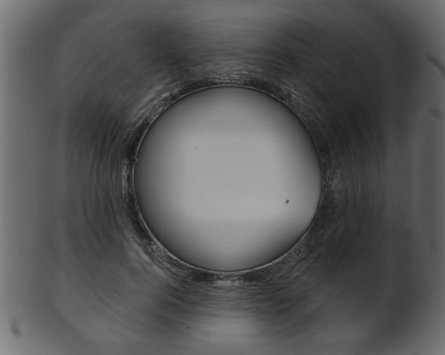 X0000102020744200807180942