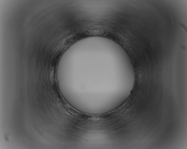 X0000102020745200807180942