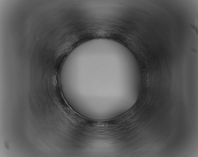 X0000102020746200807180942
