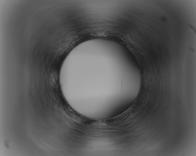 X0000102020747200807180943