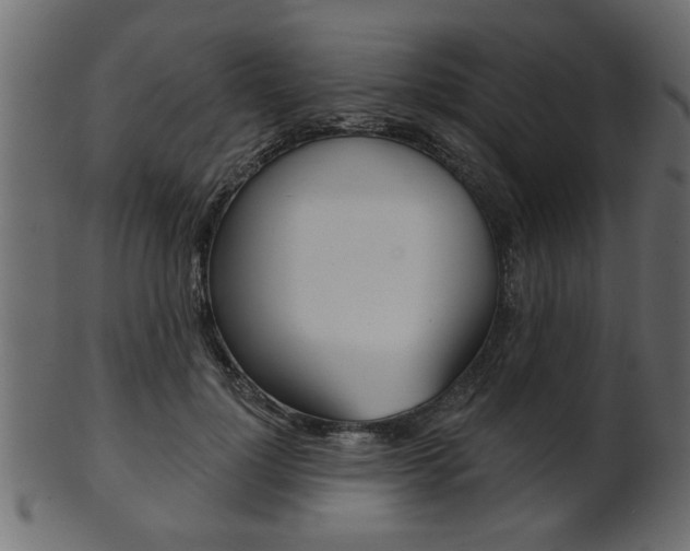 X0000102020748200807180943