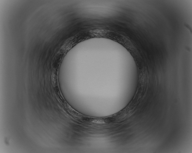 X0000102020749200807180943