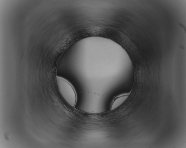 X0000102020750200807180943