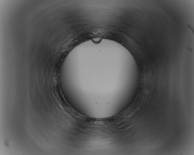 X0000102020751200807180943