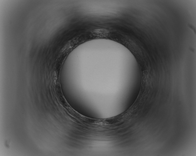 X0000102020752200807180943