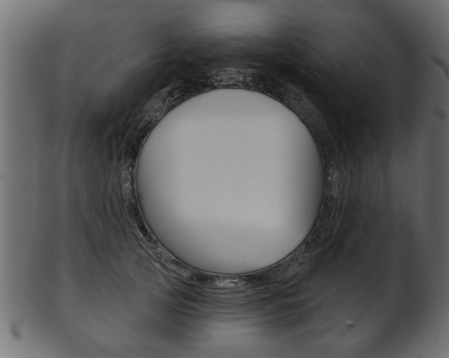 X0000102020753200807180943