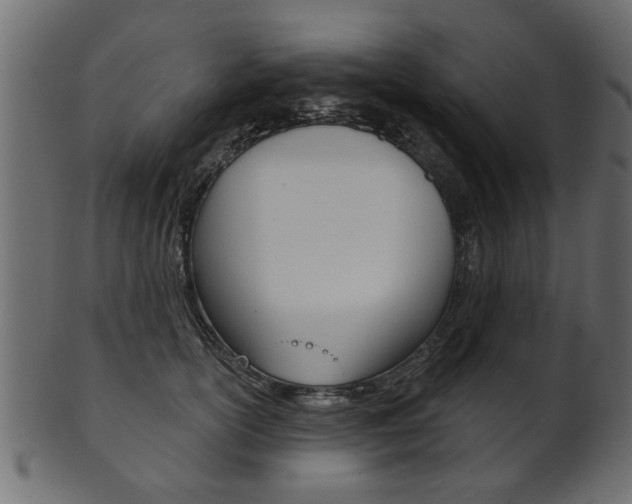 X0000102020754200807180943