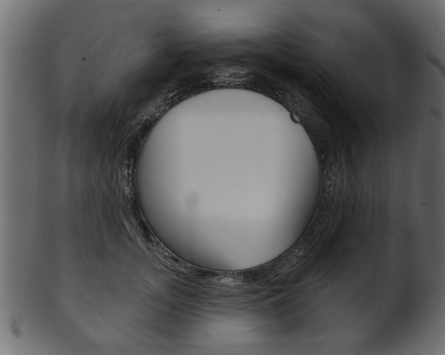X0000102020755200807180943