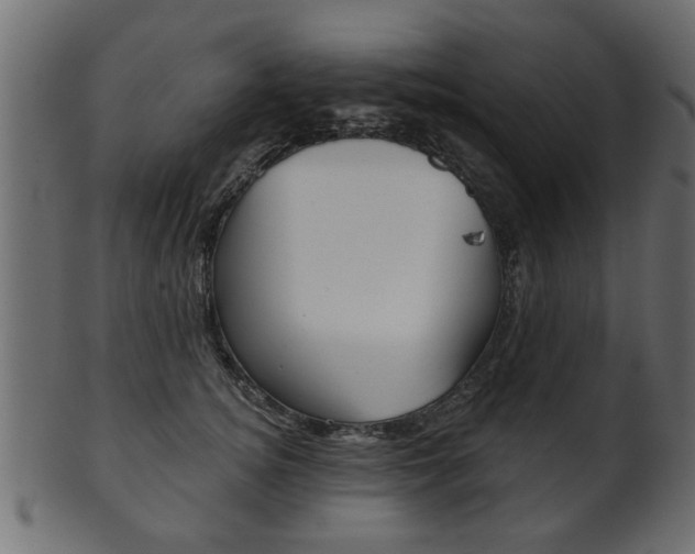 X0000102020756200807180943