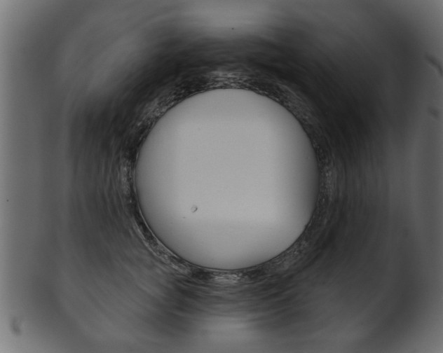 X0000102020757200807180943