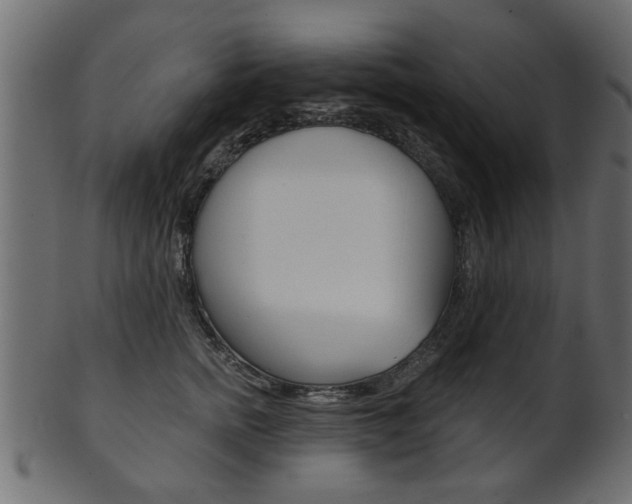 X0000102020758200807180943