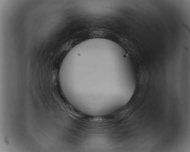 X0000102020759200807180943