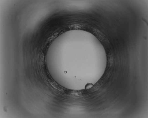 X0000102020760200807180943