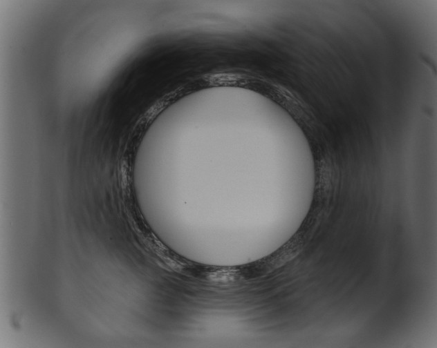X0000102020761200807180943