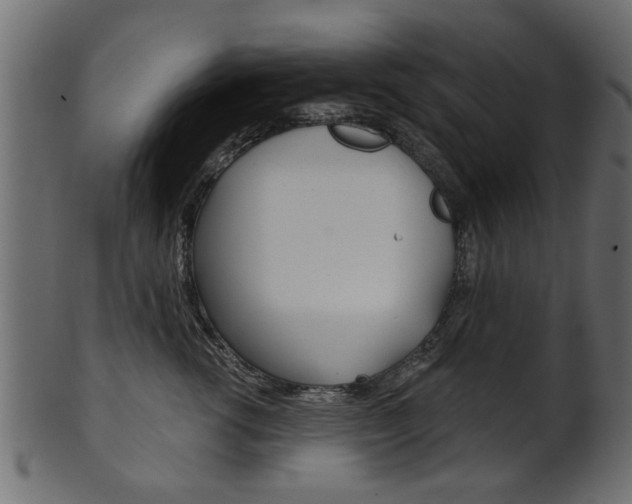 X0000102020762200807180943