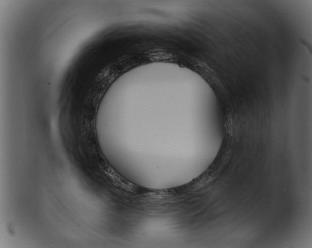 X0000102020763200807180943