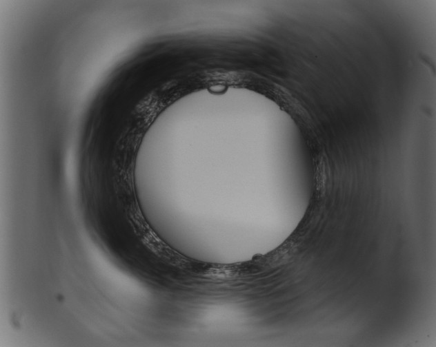 X0000102020764200807180943