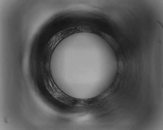 X0000102020765200807180943