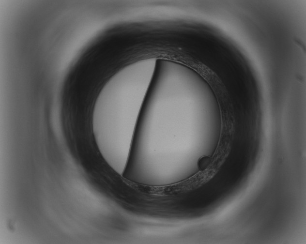 X0000102020766200807180943