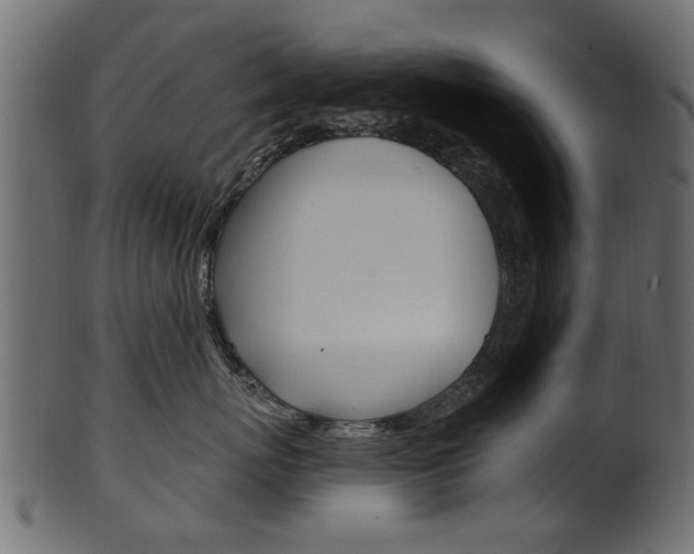X0000102020767200807180943