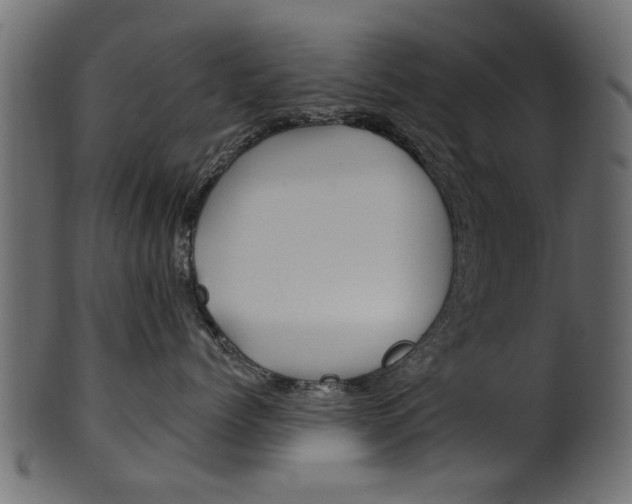 X0000102020768200807180943