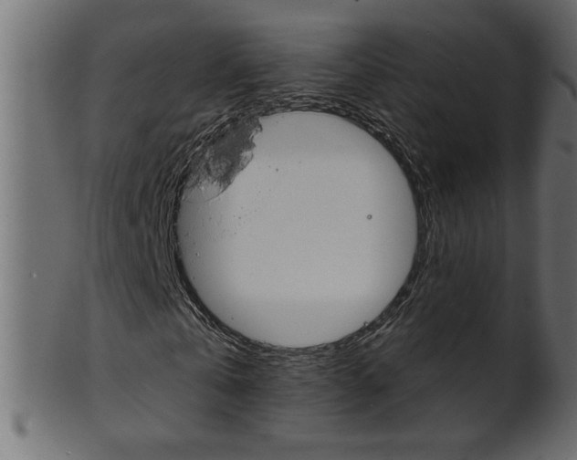 X0000102020769200807180942