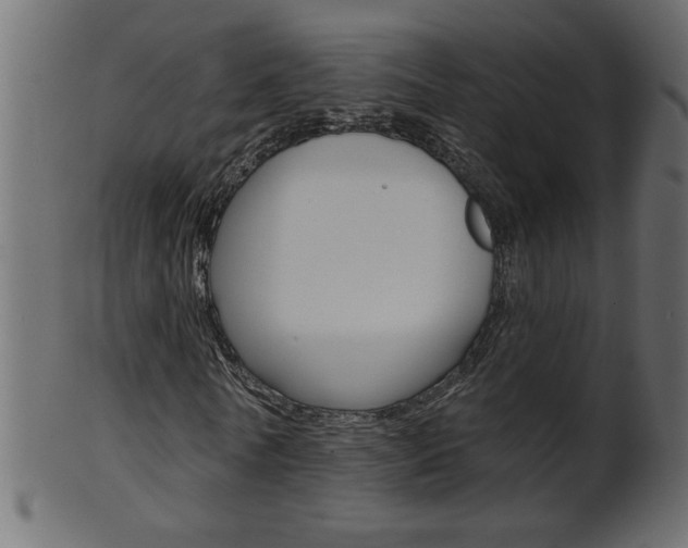 X0000102020770200807180942