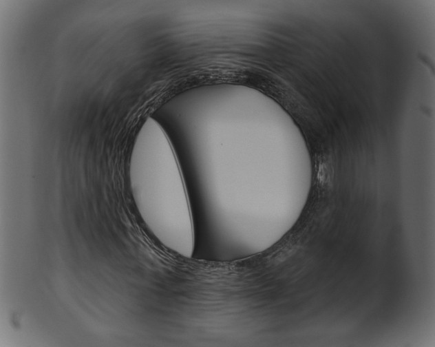 X0000102020771200807180942