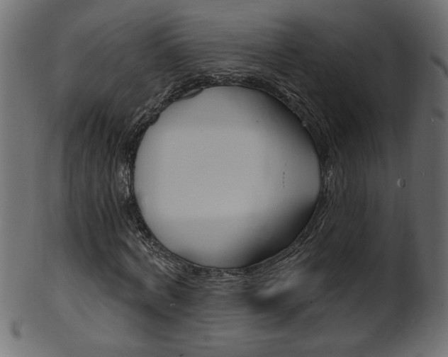 X0000102020772200807180942