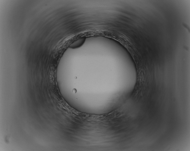 X0000102020773200807180942