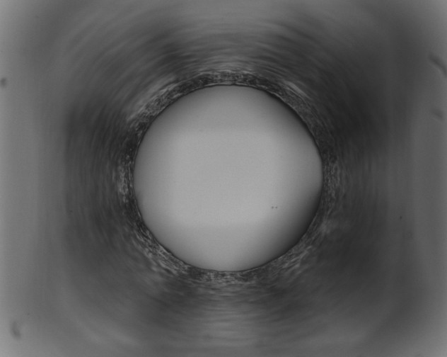 X0000102020774200807180942